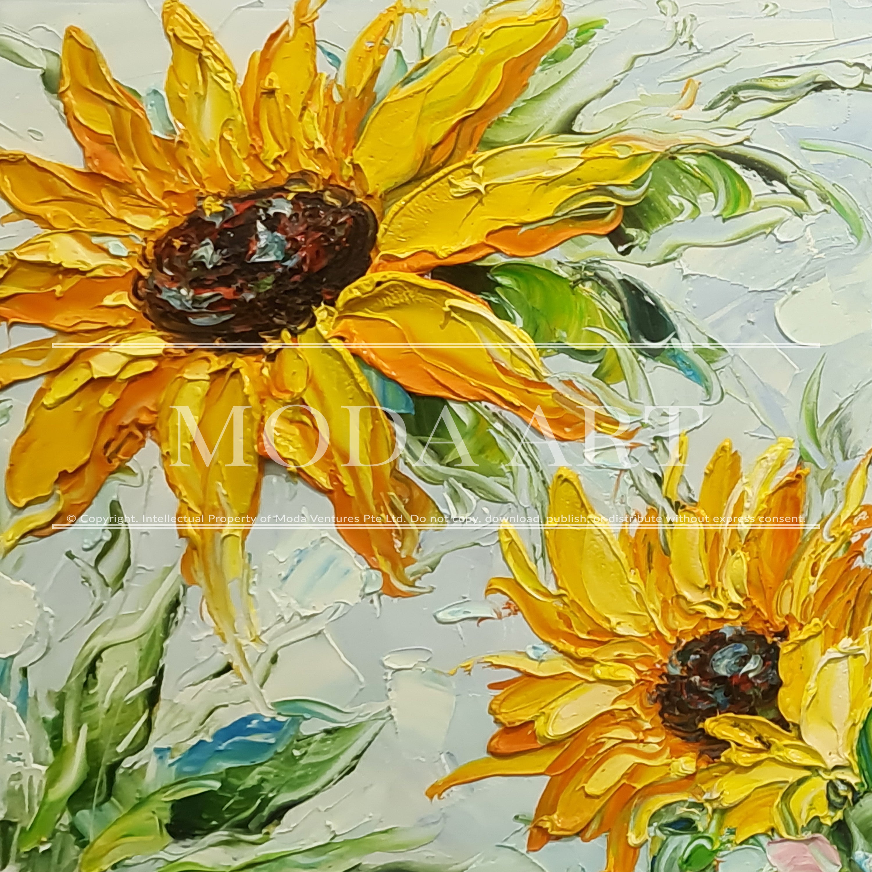 Shades of Summer