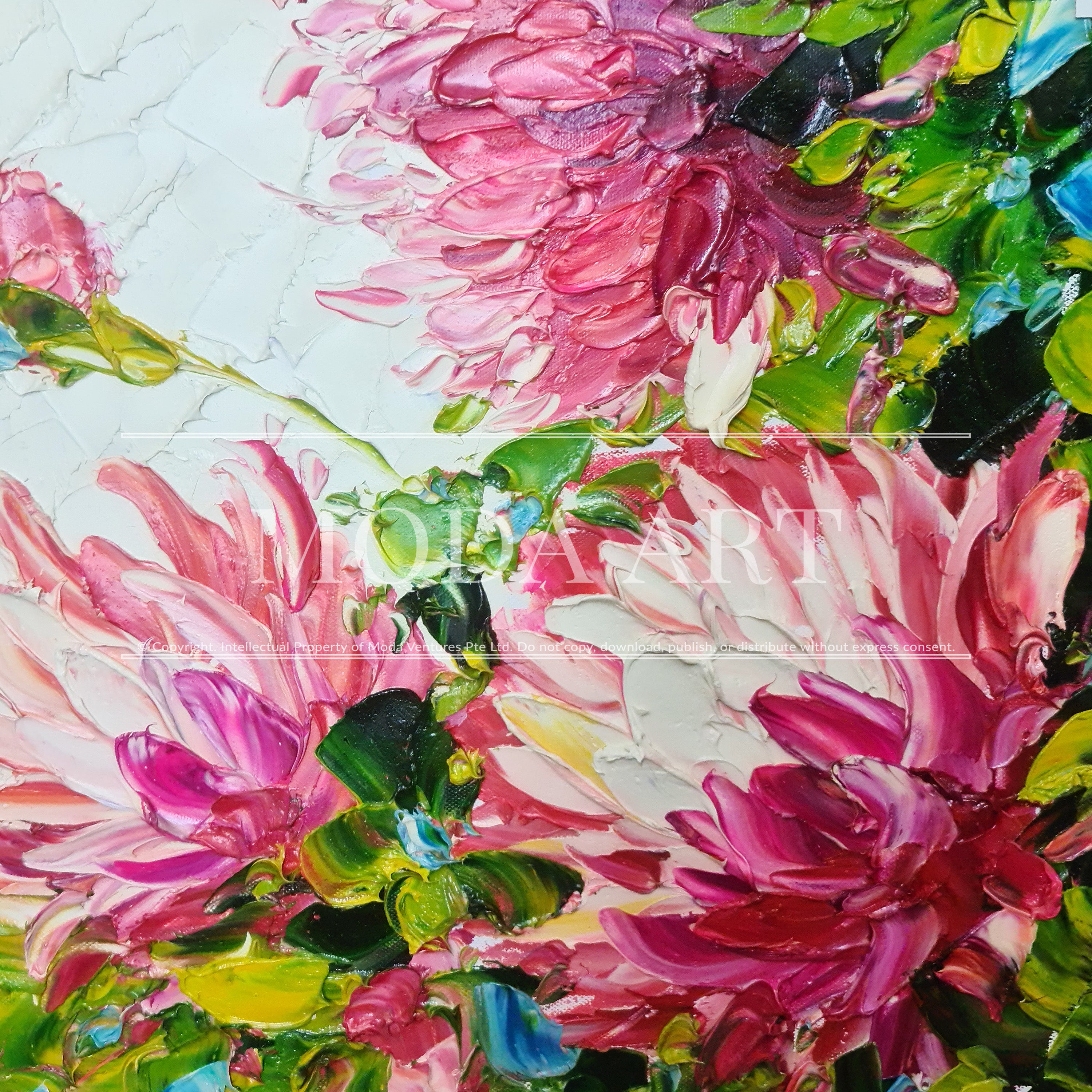 Pink Chrysanthemums In Bloom