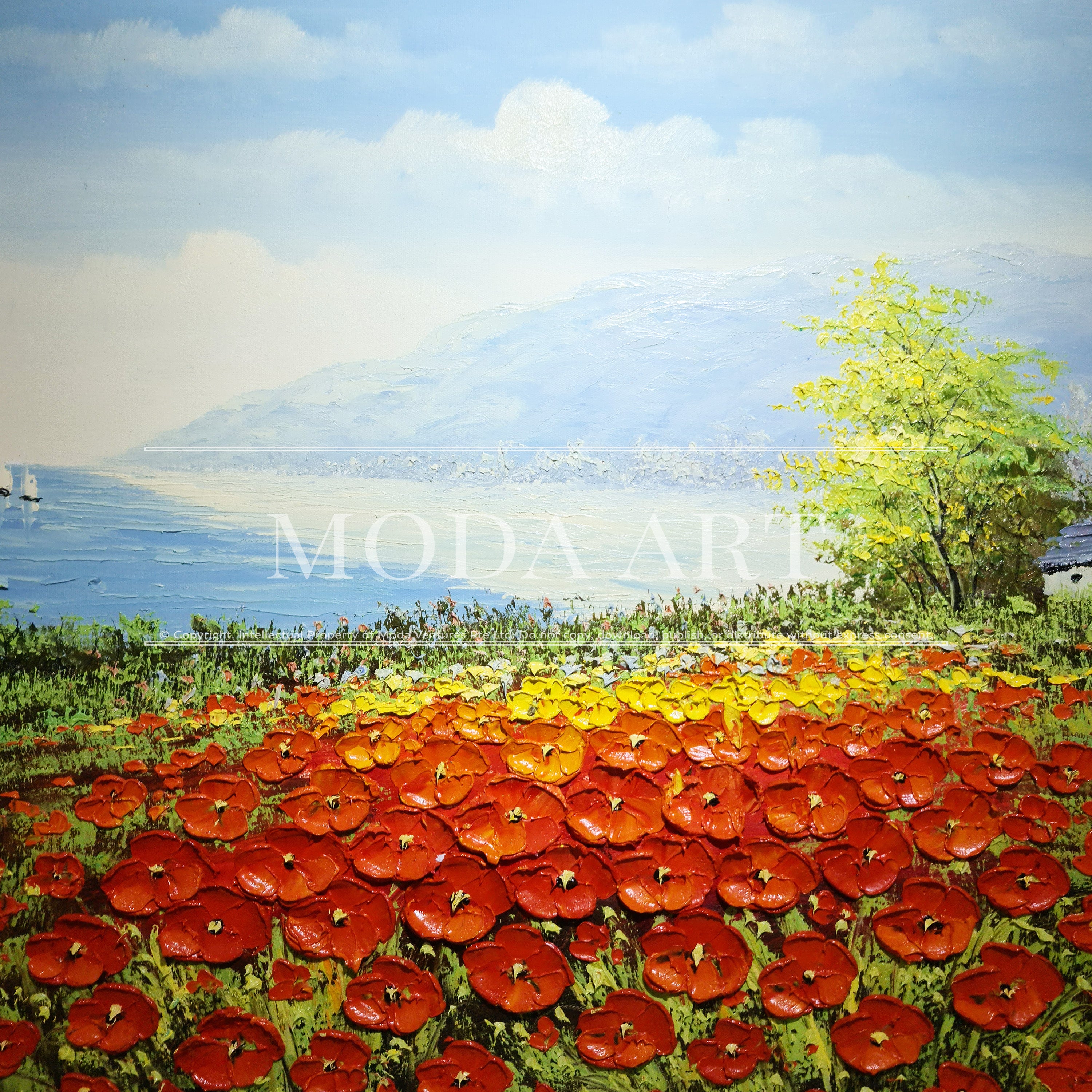 Poppy Plain
