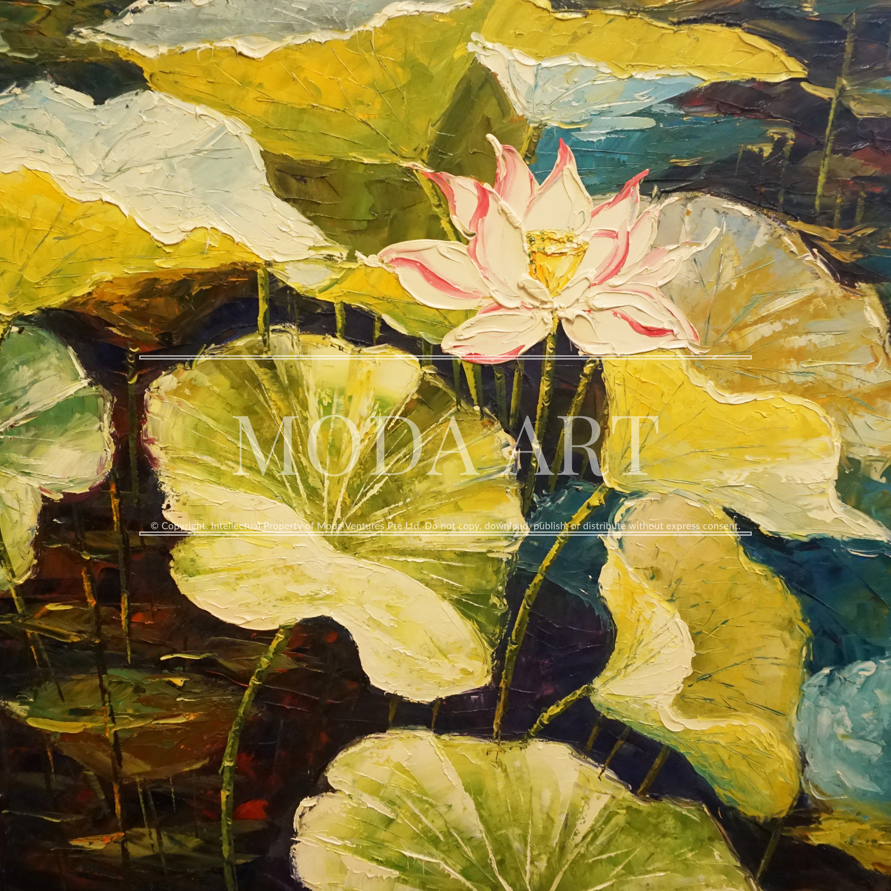 Lotus on Pond