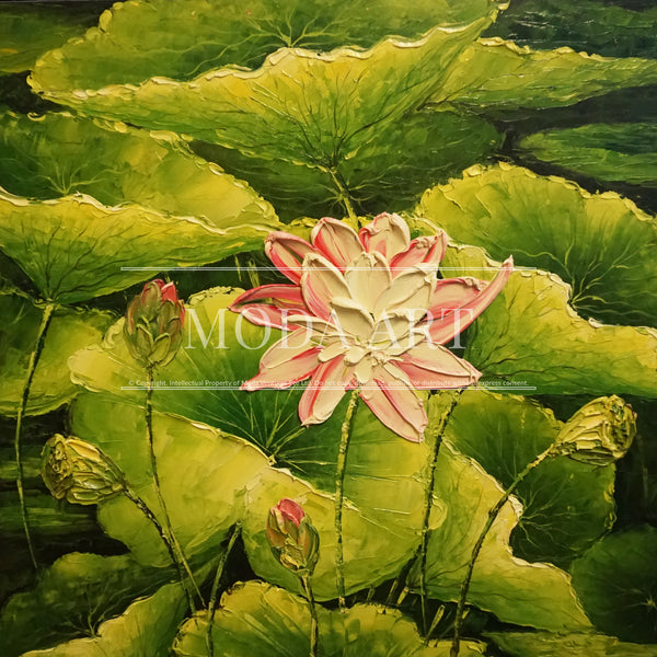 Pink Blooming Lotus
