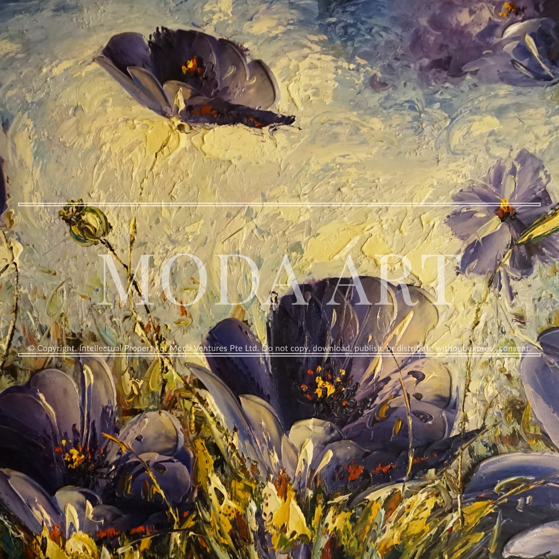 Poppy Flowers (Purple)